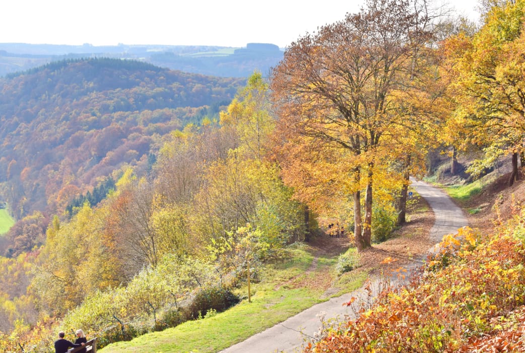 mindfulness retreat