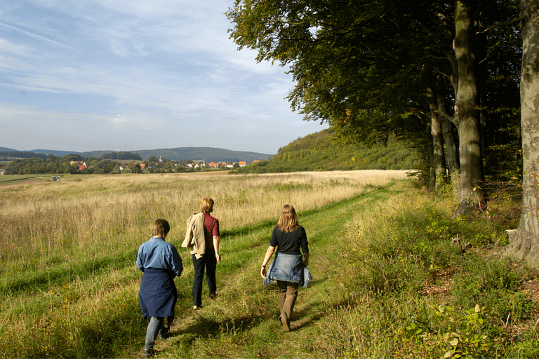meditatie week belgie